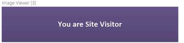 Site Visitors group